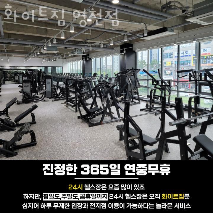 화이트짐 이미지