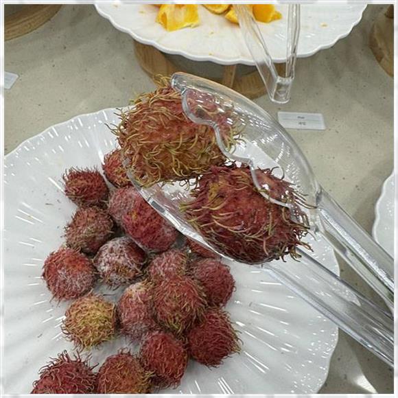 샤브반하다 이미지