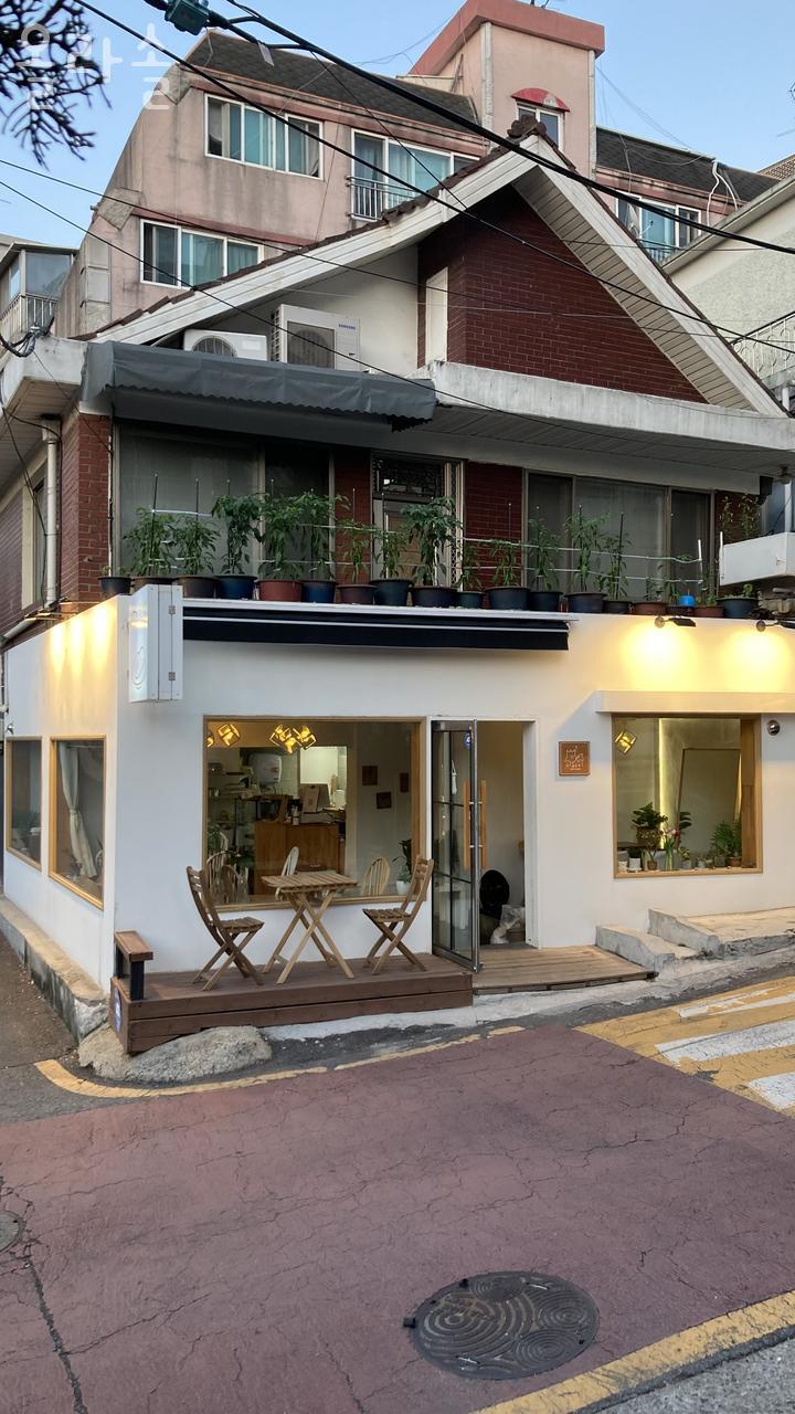올라솔 이미지