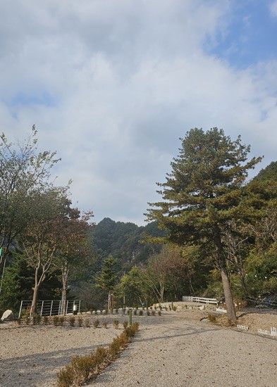 오대천 휴 캠핑클럽 이미지