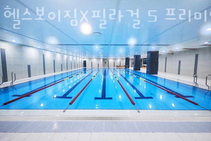 헬스보이짐가락프리미엄 이미지