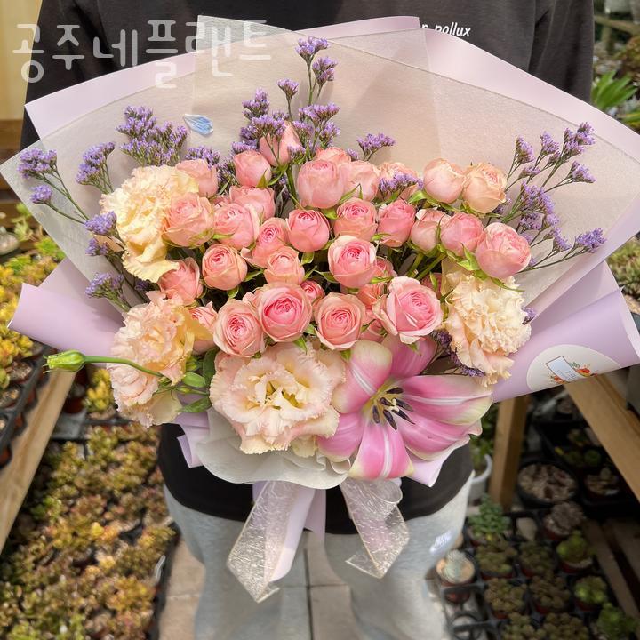 공주네플랜트 이미지