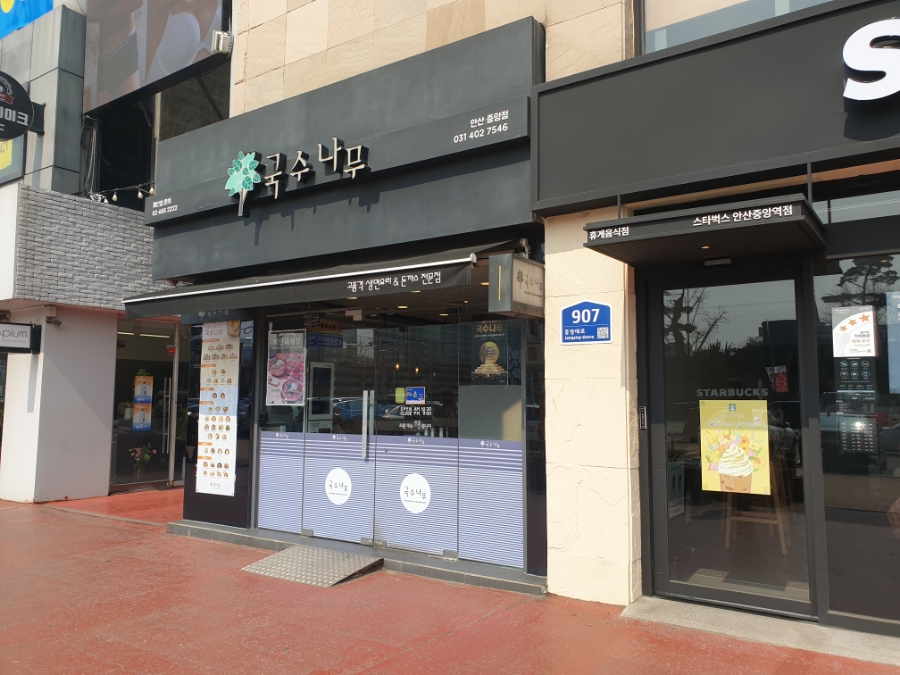 국수나무안산 이미지