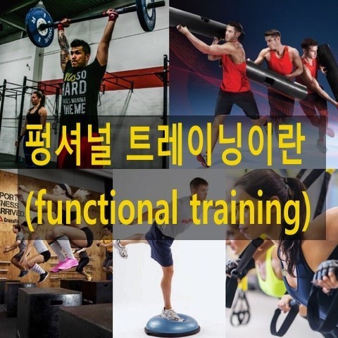 더트레이닝 이미지