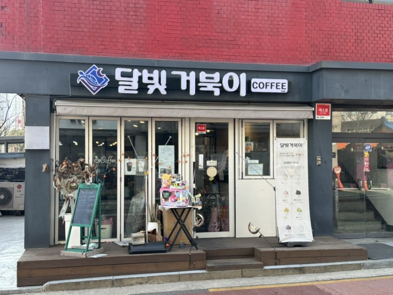 달빛 거북이 이미지