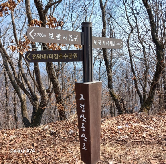 앵무봉 이미지