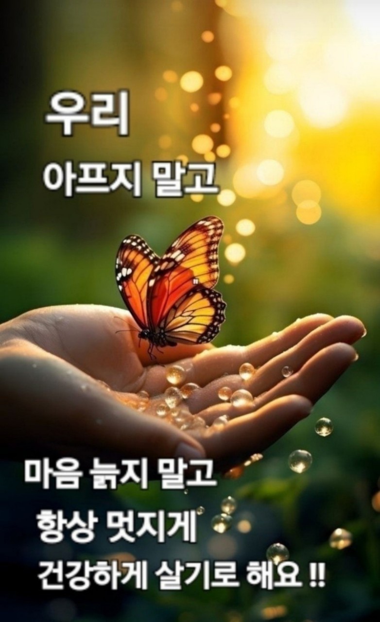 카월드 이미지