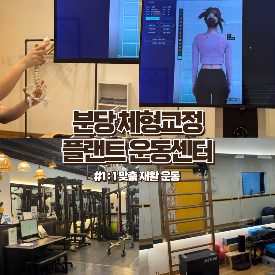 플랜트운동센터 이미지