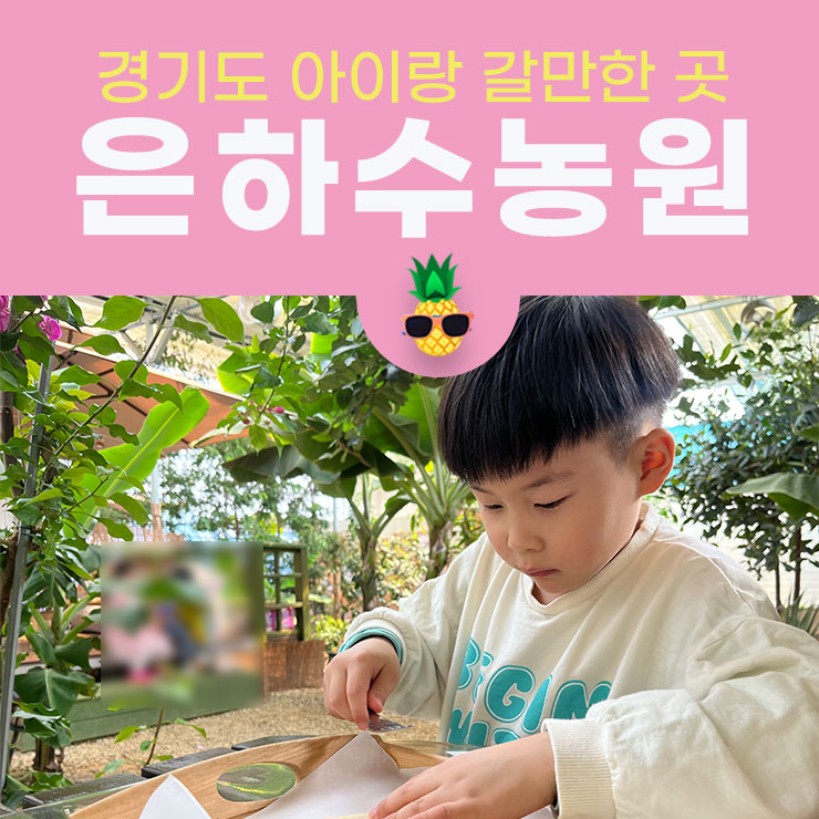 프루츠스타 이미지