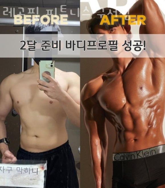 레고핏 이미지