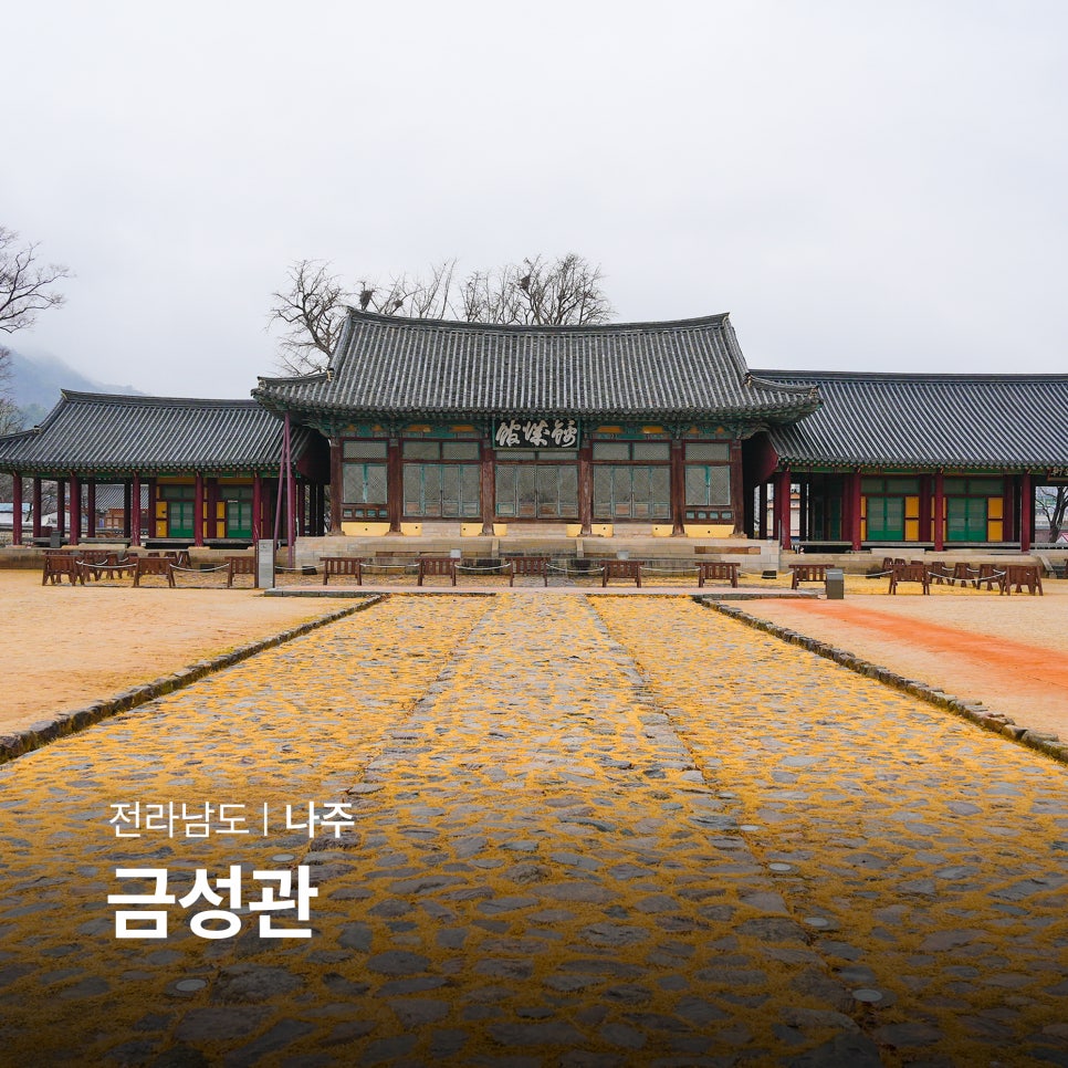 금성관광주 이미지
