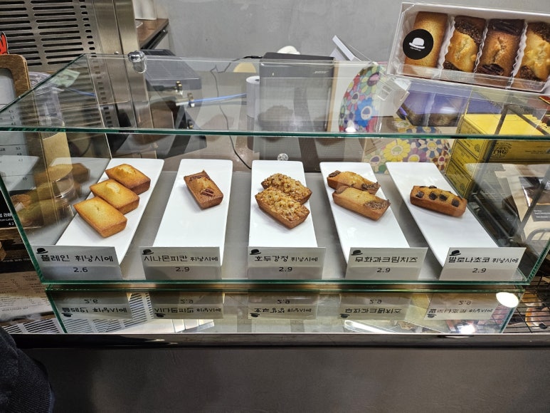 오페라빈 이미지