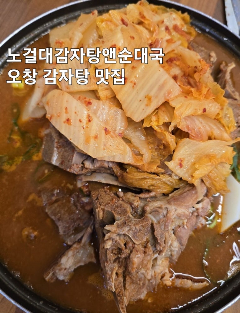국앤국 이미지