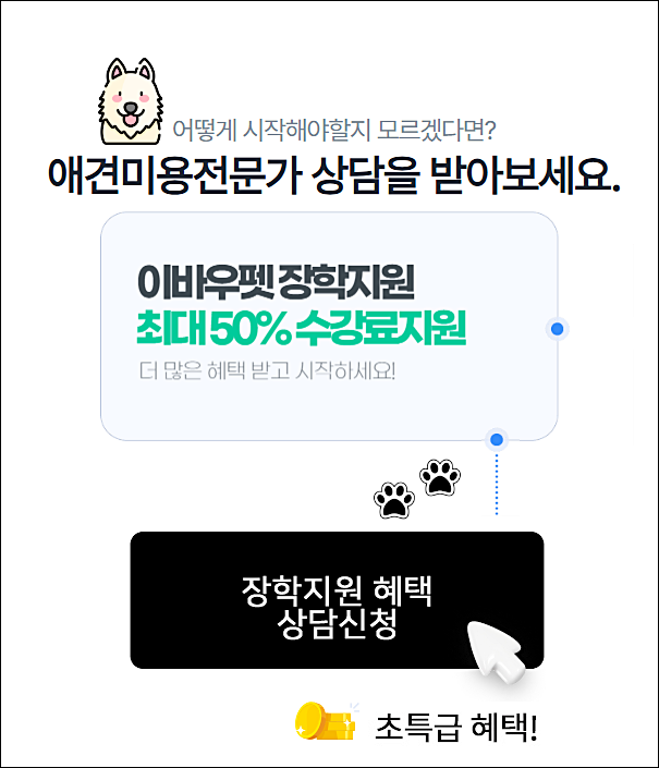 평택애견미용학원 이미지
