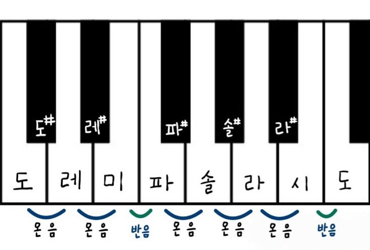 온음 이미지