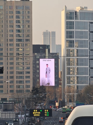 블루펄빌딩 이미지