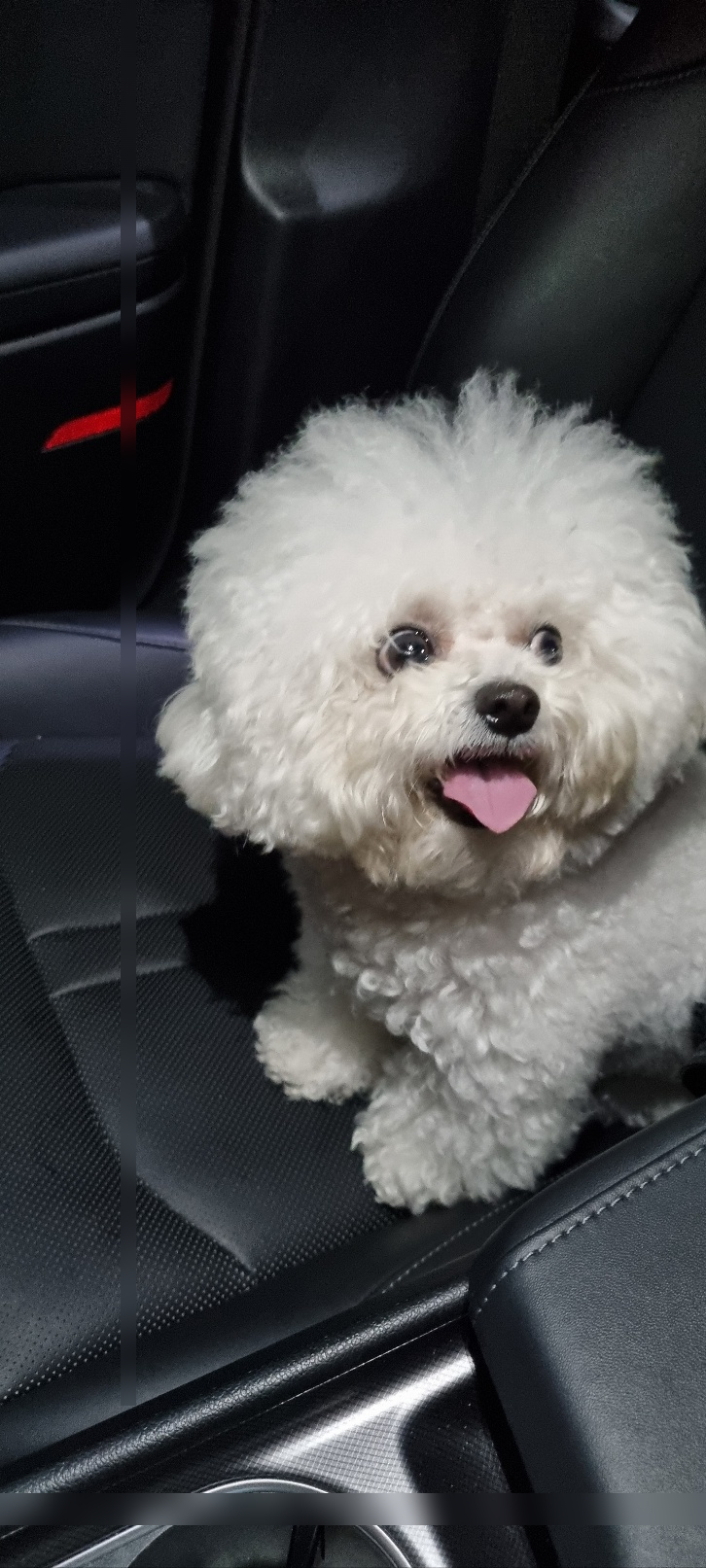 올바른친구들 이미지