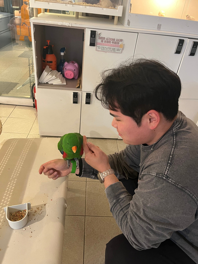 브로우마디 이미지