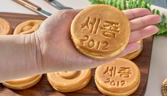 세종지향개발 이미지