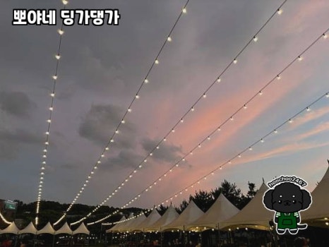 뽀야네딩가댕가 이미지