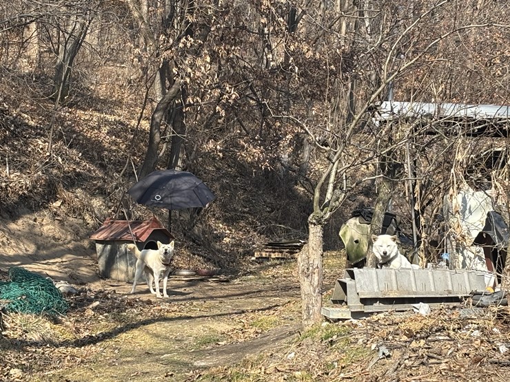 라파엘메디케어 이미지