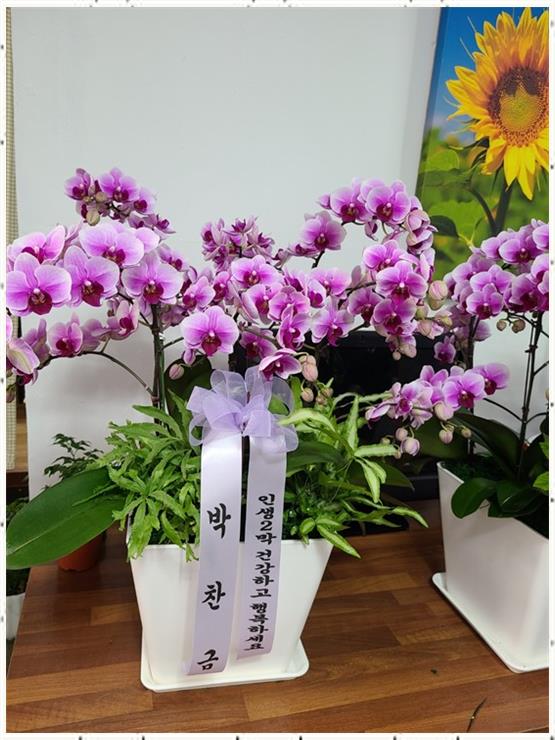 그순간꽃부천 이미지