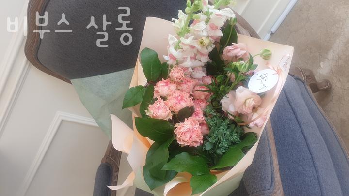 비부스 이미지