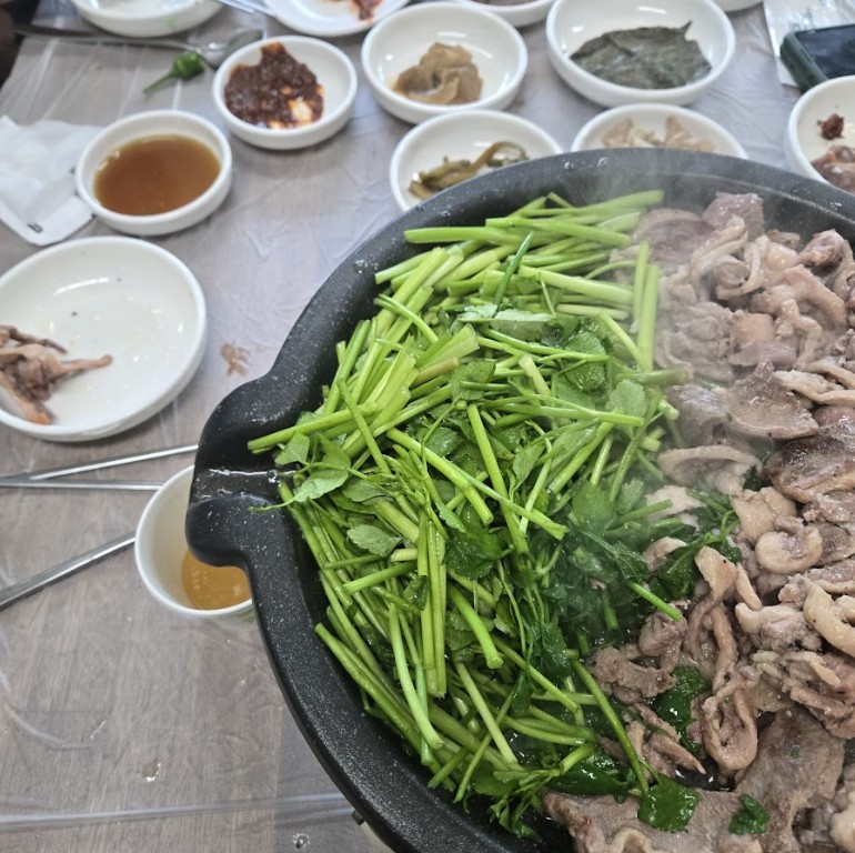 한재스타미나리 이미지