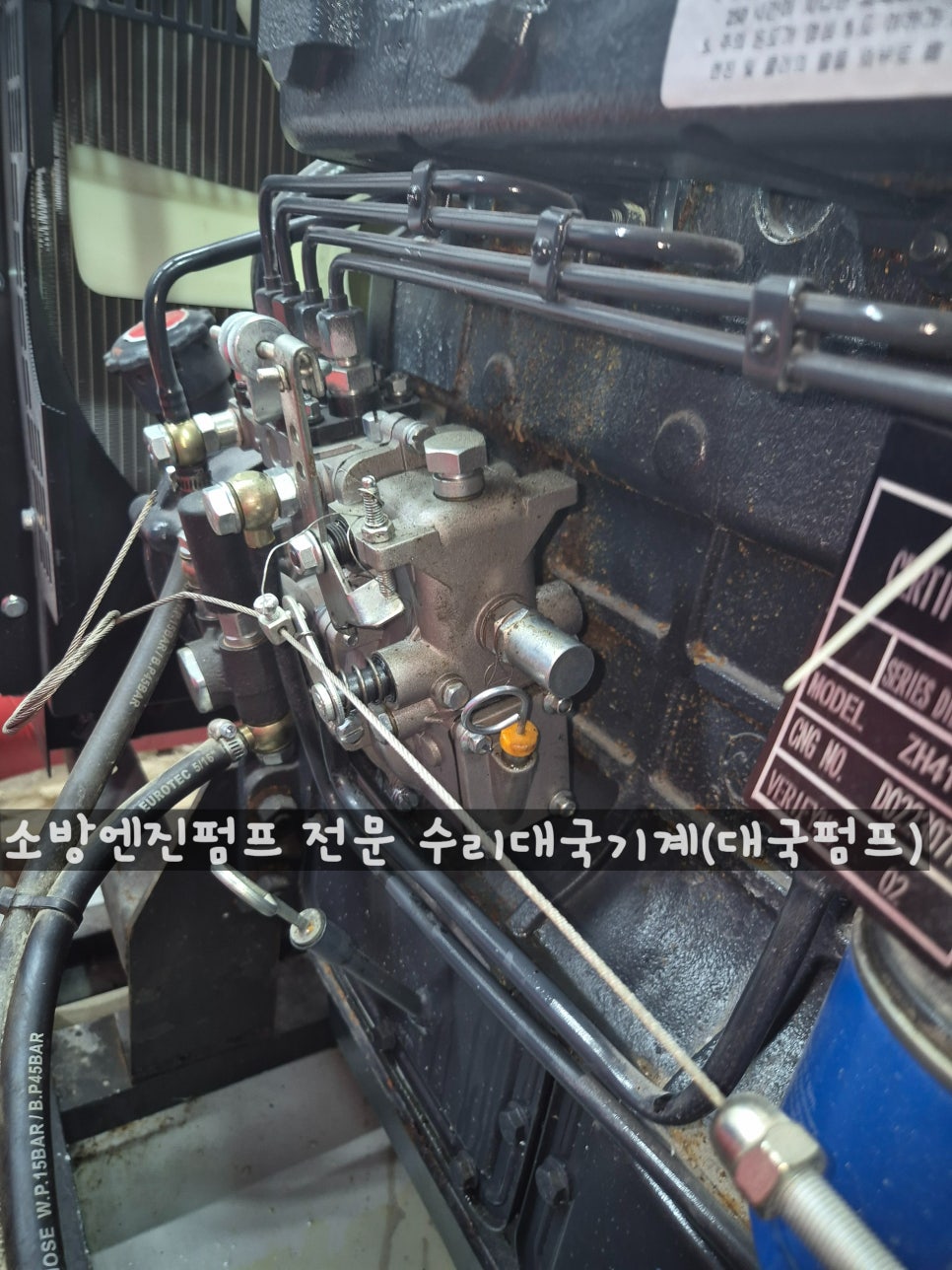 안전부란자 이미지