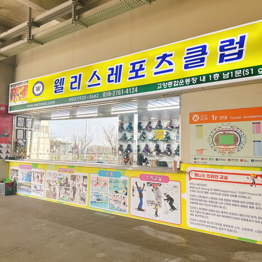 웰니스레포츠 이미지