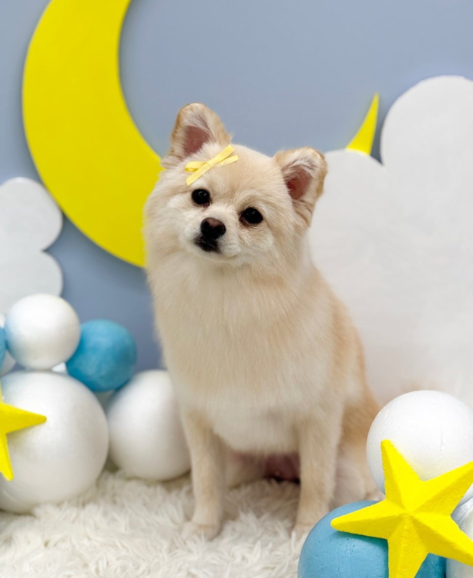 예쁜미용 이미지