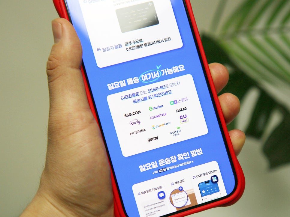 과일이오네 이미지