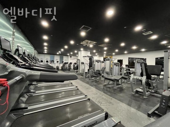 엘바디핏 이미지