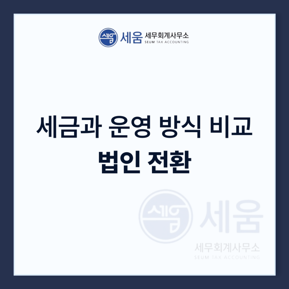 세움회계법인 이미지