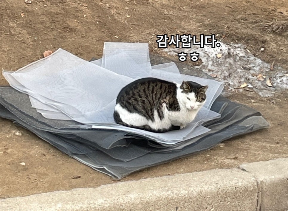 서울방충망금천 이미지