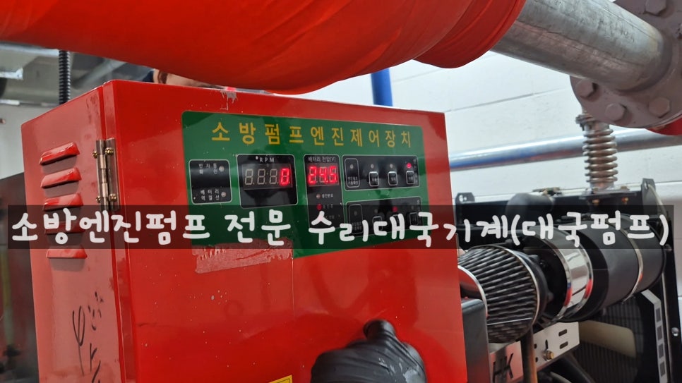 안전부란자 이미지