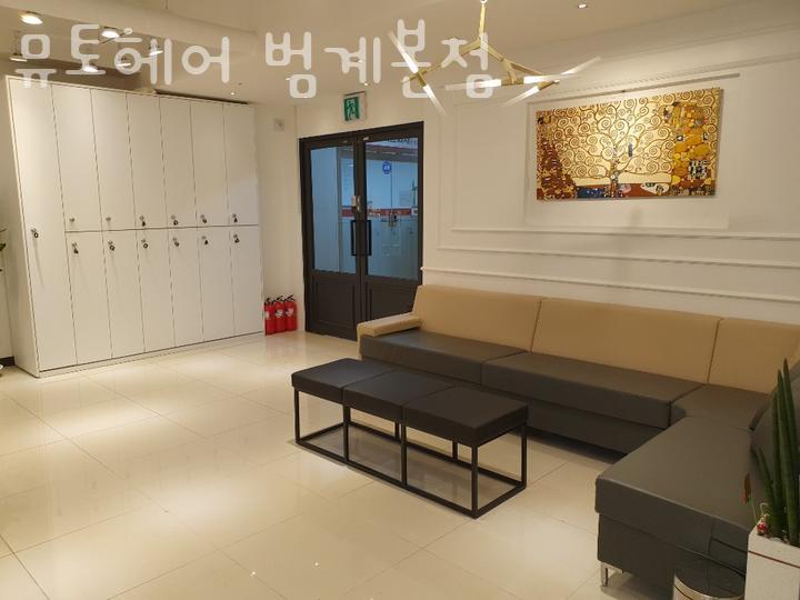 뮤토헤어 이미지