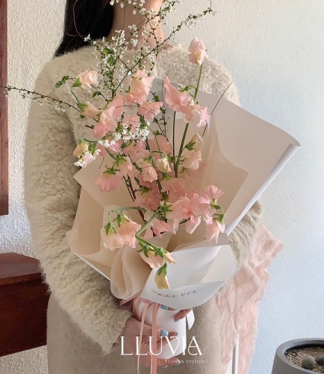 유비아플레르 이미지