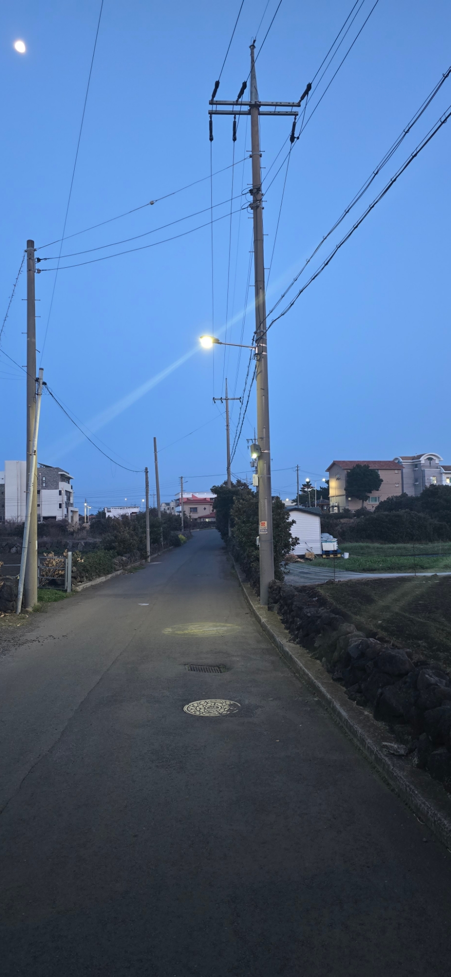 올레향 이미지