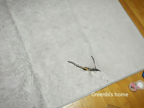햇살그린비 이미지
