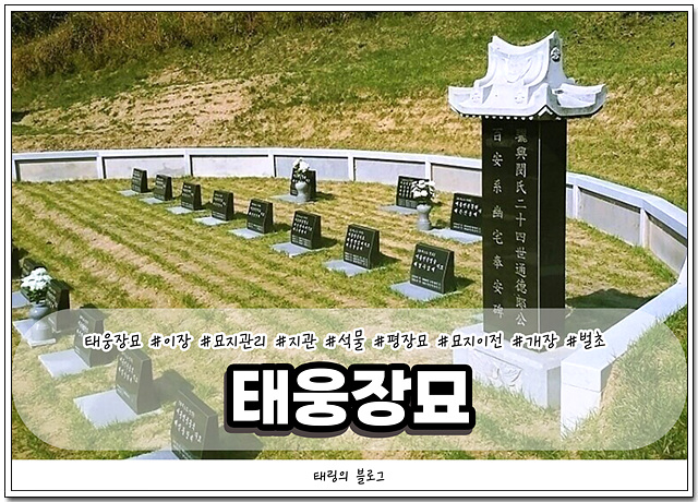 태웅장묘 이미지