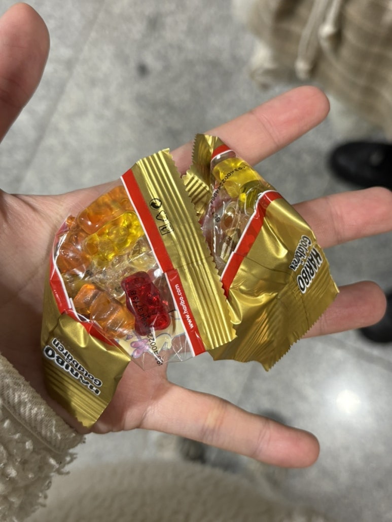 잠실너구리 이미지