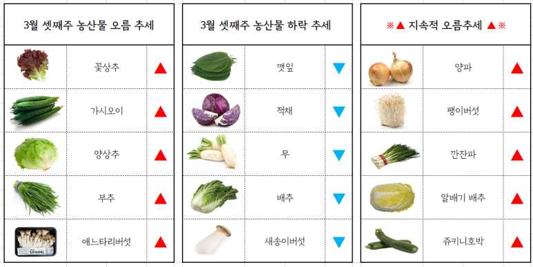서면유통 이미지