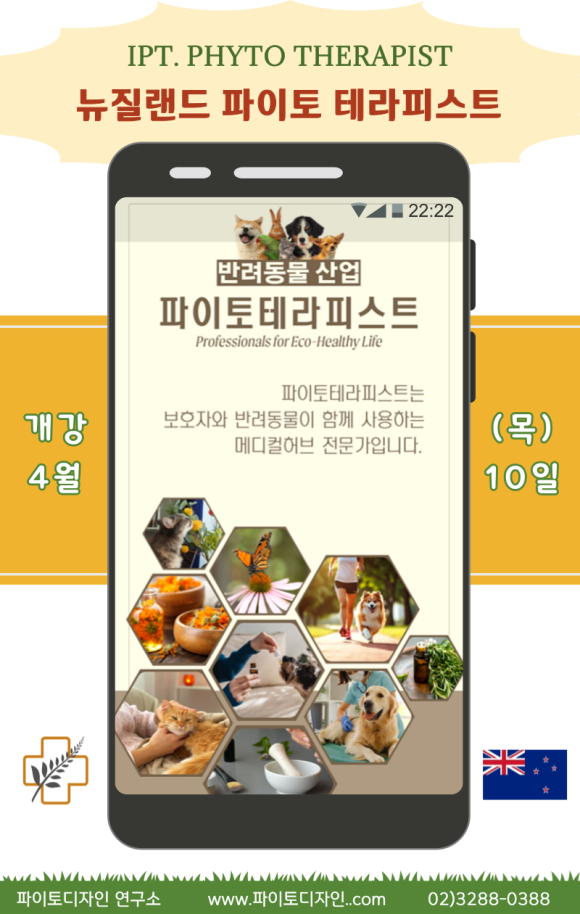 니틀 이미지