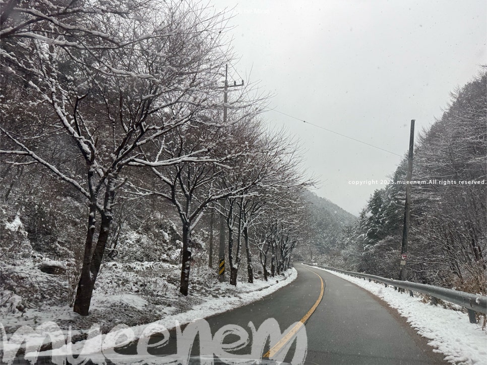 김원장캠핑 이미지