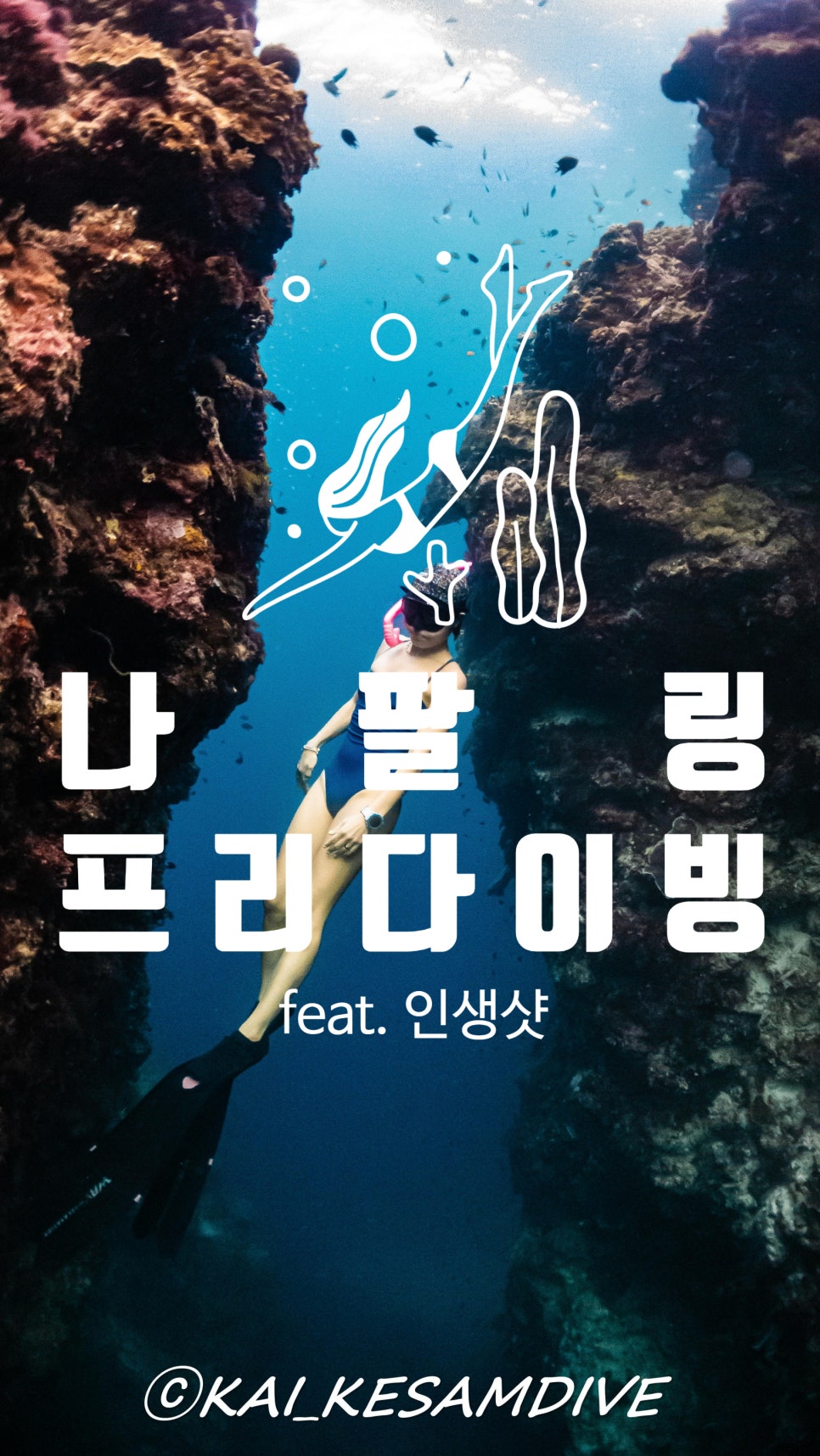 몽키다이브 이미지