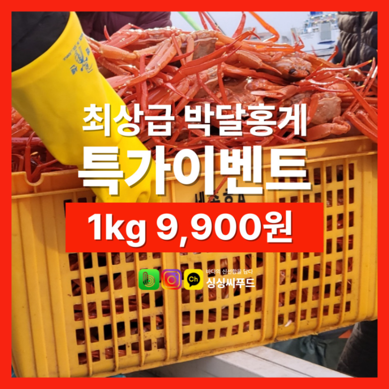 싱싱씨푸드 이미지