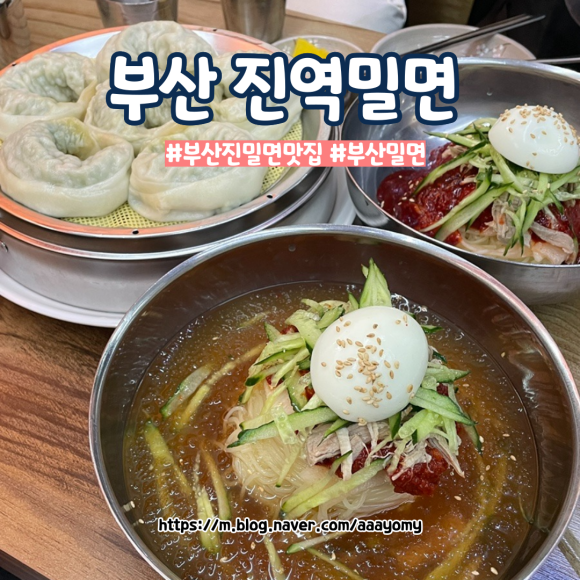 진역밀면 이미지