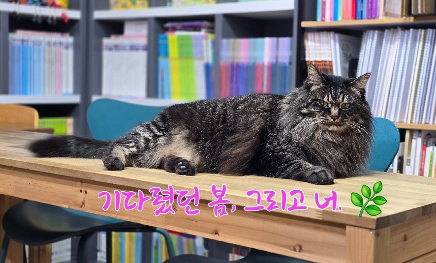 스터디&북카페책빵 이미지
