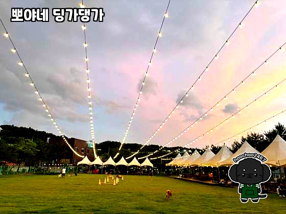 뽀야네딩가댕가 이미지